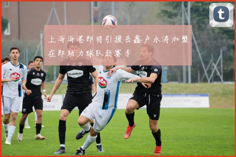 上海海港即将引援岳鑫卢永涛加盟在即助力球队新赛季