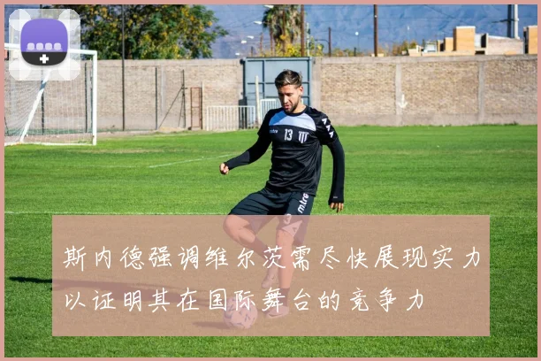 斯内德强调维尔茨需尽快展现实力以证明其在国际舞台的竞争力