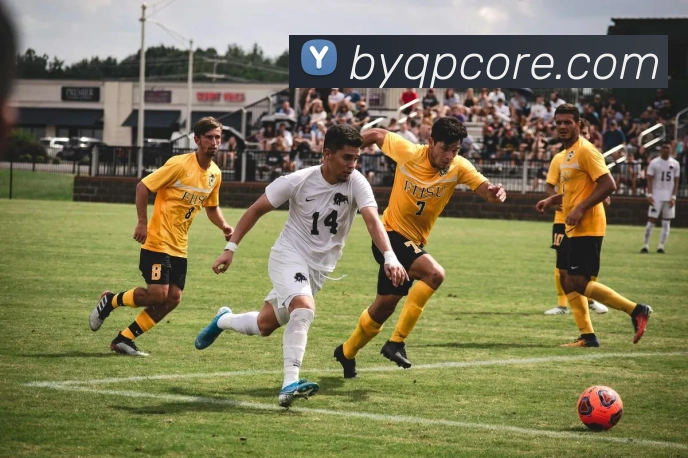 多媒体互动体验